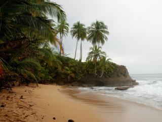 En route vers la côte Atlantique – Costa Rica