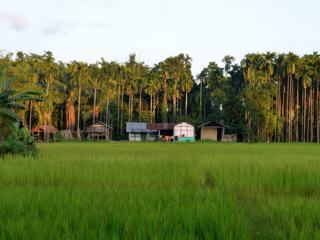 Arrivée dans l'Assam – Inde
