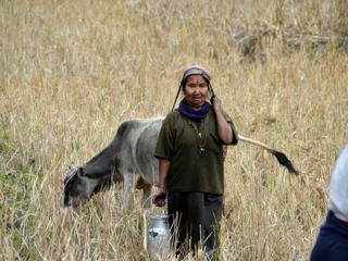 Sur les routes de l'Arunachal – Inde