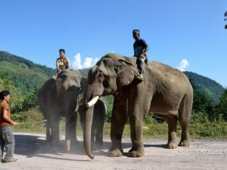 Sur les routes de l'Arunachal – Inde