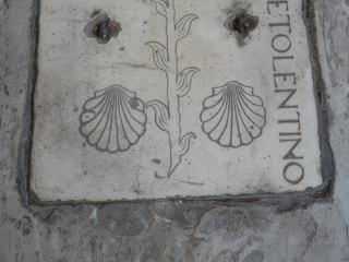 Coquilles Saint Jacques et fleurs.