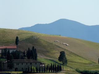 Paysage toscan autour de Volterra.