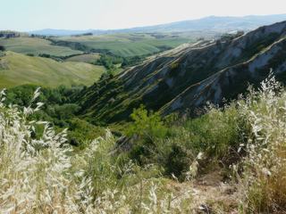 Collines dénudées et profondes entailles caractérisent la campagne autour de Volterra.