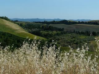 Difficile de s'arracher à ce beau paysage.