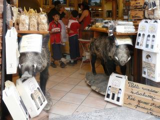 La viande de sanglier est très prisée en Toscane mais ces animaux sont en passe de devenir un véritable fléau dans les campagnes.