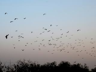 Photo de voyage au Birmanie