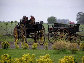 Balade en charrette à travers l'estancia pour ceux qui ne veulent pas monter les chevaux.