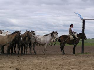 Journée pampa – Argentine