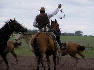 Journée pampa – Argentine