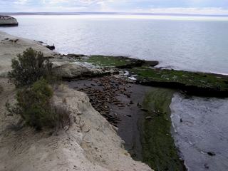 La réserve de Punta Loma a été créée en 1967, elle abrite une colonie de lions de mer en contrebas d'une falaise.