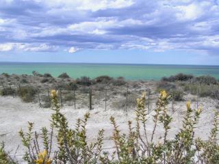 Des sentiers permettent d'accéder jusqu'aux plages afin d'être au plus près avec les animaux (je ne sais pas si c'est encore ainsi car mon voyage remonte à 2004)