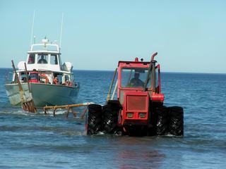 A Puerto Pyramides il n'y a pas de port, les bateaux sont hissés sur la plage à l'aide d'un tracteur.