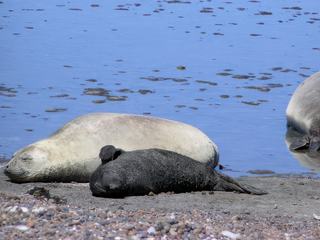 Maman dort d'un oeil!