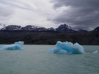 Icebergs à la dérive.
