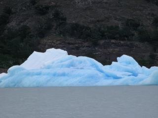 Navigation entre glaciers et icebergs – Argentine