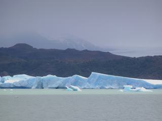 Navigation entre glaciers et icebergs – Argentine
