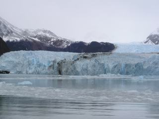 Le glacier Spegazzini doit son nom à Carlos Spegazzini, premier botaniste à venir étudier la flore locale.