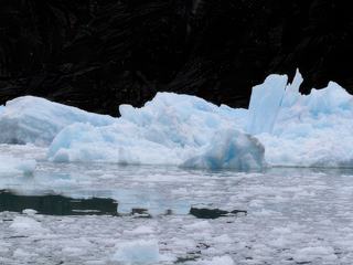 Navigation entre glaciers et icebergs – Argentine