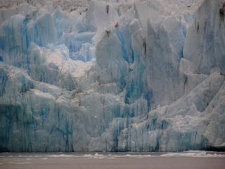 Navigation entre glaciers et icebergs – Argentine