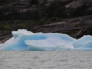 Navigation entre glaciers et icebergs – Argentine