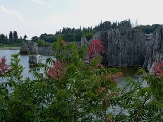 Le site de la Forêt de Pierres s'étend sur 26 000 hectares dont seulement 80 on été aménagés.