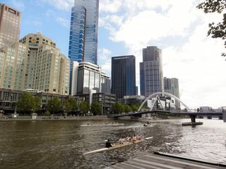 Sports nautiques sur Yarra River sous l'oeil hautain de Dame Eureka Tower.
