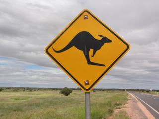 Voyage organisé en  Australie de 2 semaines (Mars 2011) raconté par Bergeronnette40