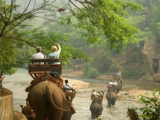Les éléphants – Thaïlande