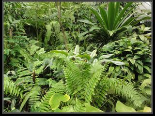 Australian Butterfly Sanctuary