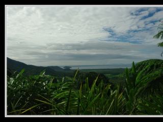 Cape Tribulation