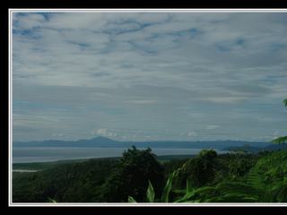 Cape Tribulation