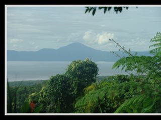 Cape Tribulation