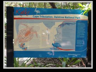 Cape Tribulation