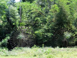 Roues à aube. Au milieu de la nature, un petit signe de civilisation.