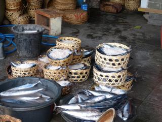 Salaison du poisson