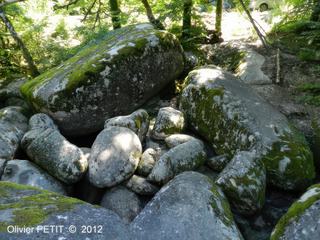 La rivière de rochers ou chaos de la Resse – France