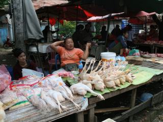 Luang Prabang – Laos