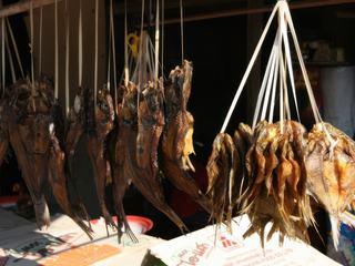 POISSON QUE L'ON RETROUVE SUR LE MARCHE VOISIN