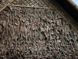 LES MURS SONT FABRIQUES AVEC DES FEUILLES