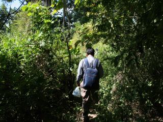 NOUS ARRIVONS AU VILLAGE JARAÏ. APRES AVOIR SALUER LE CHEF DU VILLAGE, NOUS PARTONS DANS LA JUNGLE, POUR REJOINDRE LE CIMETIERE RECELANT DES DIZAINES DE STATUES FUNERAIRES.