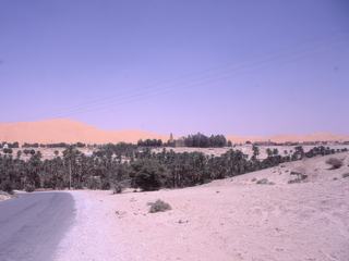 Goûtons la fraîcheur de cette oasis avant d'attaquer les dunes en arrière plan.