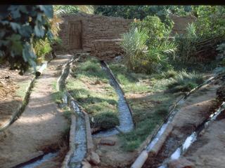 Le système d'irrigation de la palmeraie et des centaines de jardins, est assez complexe, mais efficace.