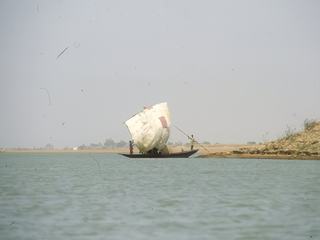 Beaucoup de pirogue non pas de moteur, seulement la voile.