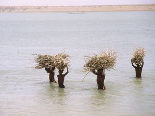 Le Mali : un peuple, une histoire – Algérie