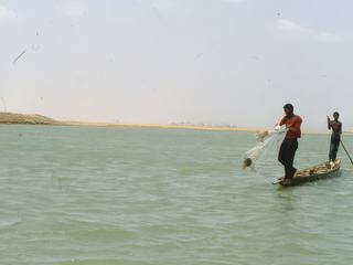 Les hommes pêchent