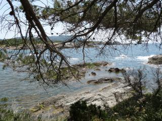 L'Ile des Embiez