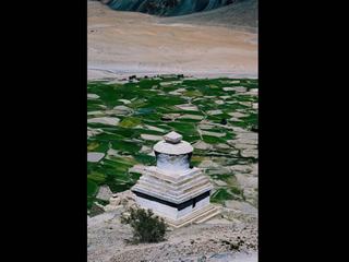 stoupas du Zanskar