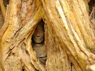 Etape 5 - Angkor – Cambodge