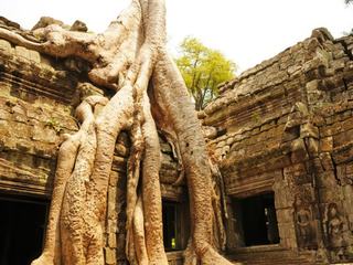 Etape 5 - Angkor – Cambodge