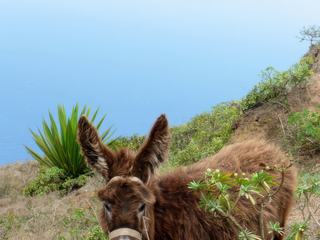 Photo de voyage au Cap-Vert